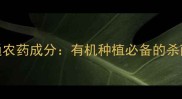 百菌通农药成分有机种植必备的杀菌专家