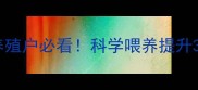 罗飞鱼饲料全攻略养殖户必看科学喂养提升30产量的秘密大公开
