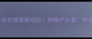 山东寿光玉米价格最新动态种植户必看附全年走势分析
