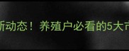 河南内乡县猪肉价格最新动态养殖户必看的5大市场分析附价格趋势