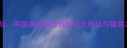 饲料进口量激增背后中国农业供应链的五大隐忧与破局之道附最新数据