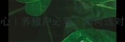 保育优饲料配方5大核心养殖户必看如何选对饲料实现效益翻倍
