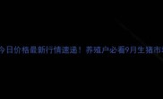 河南毛猪今日价格最新行情速递养殖户必看9月生猪市场深度