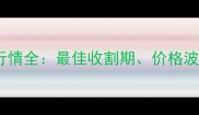 枣庄玉米收购行情全最佳收割期价格波动与市场趋势