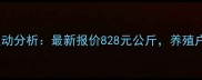 眉山生猪市场价格波动分析最新报价828元公斤养殖户需关注哪些因素