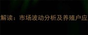 全国绵羊价格行情权威解读市场波动分析及养殖户应对策略附最新数据