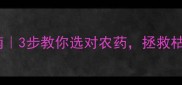 干尖病急救指南3步教你选对农药拯救枯萎的植物顶端