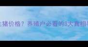 毛猪价格生猪价格养殖户必看的3大真相与避坑指南