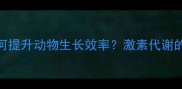 饲料添加剂如何提升动物生长效率激素代谢的三大科学原理