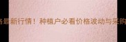 全国冷冻玉米批发价格最新行情种植户必看价格波动与采购指南附趋势分析