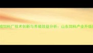 滨州浓缩饲料厂技术创新与养殖效益分析山东饲料产业升级新标杆