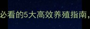 饲料羊鉴别技巧养殖户必看的5大高效养殖指南助你规避风险提升效益