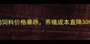 潍坊养鸡人必看鸡饲料价格暴跌养殖成本直降30最新行情解读