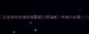 江苏徐州生猪价格最新行情深度养殖户必看