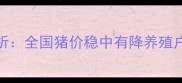 9月10日生猪价格行情分析全国猪价稳中有降养殖户需关注四季度市场变局