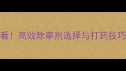 棉花播种前必看高效除草剂选择与打药技巧助你增收30