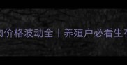 猪猪肉价格波动全养殖户必看生存指南