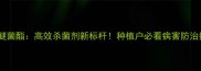 吡唑醚菌酯高效杀菌剂新标杆种植户必看病害防治指南