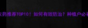 软腐病农药推荐TOP10如何有效防治种植户必看防治指南
