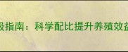 513饲料配方升级指南科学配比提升养殖效益的五大关键点