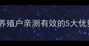 北京伟农饲料测评养殖户亲测有效的5大优势附详细使用攻略