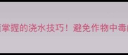 农药使用后必须掌握的浇水技巧避免作物中毒的5大关键步骤