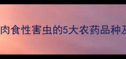 高效杀虫剂推荐专杀肉食性害虫的5大农药品种及使用技巧最新版