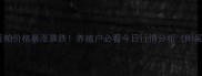河北省豆粕价格暴涨暴跌养殖户必看今日行情分析附采购攻略