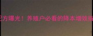 领宝饲料高性价比配方曝光养殖户必看的降本增效指南附真实案例