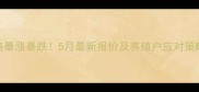 河南省肉鸡苗价格暴涨暴跌5月最新报价及养殖户应对策略附市场分析