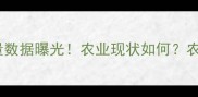 深度中国农药使用量数据曝光农业现状如何农民必看生态保护指南