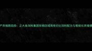 水产养殖新趋势正大鱼饲料集团华南区域高性价比饲料配方与智能化养殖模式