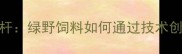 通辽市饲料行业新标杆绿野饲料如何通过技术创新推动养殖产业升级