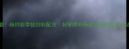 养殖户必看杨师彩莘佳饲料配方科学喂养降成本提升效益30的养殖秘籍