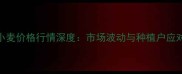 济宁小麦价格行情深度市场波动与种植户应对策略