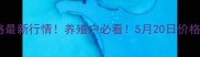 河南生猪价格最新行情养殖户必看5月20日价格走势全