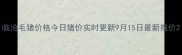 临沧毛猪价格今日猪价实时更新9月15日最新报价