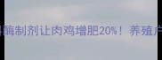 主新型饲料酶制剂让肉鸡增肥20养殖户必看技术