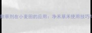克阔乐除草剂在小麦田的应用净禾草禾使用技巧与效果