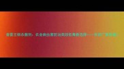 春雷王铜杀菌剂农业病虫害防治高效低毒新选择农药厂家权威