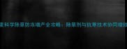 冬小麦科学除草防冻增产全攻略除草剂与抗寒技术协同增效指南