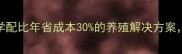 济南安驰饲料科学配比年省成本30的养殖解决方案肉禽水产都在用