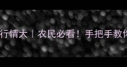 吉林干玉米价格行情大农民必看手把手教你应对市场波动