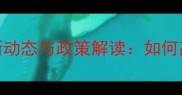 出口饲料市场最新动态与政策解读如何高效查询行业数据
