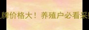 江苏灵牌价格大养殖户必看采购指南