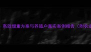 乳白金猪饲料科学配方高效增重方案与养殖户真实案例报告附农业农村部最新养殖标准