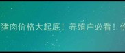 山东屠宰场猪肉价格大起底养殖户必看价格波动全