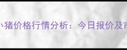 11月广东省小猪价格行情分析今日报价及市场趋势解读