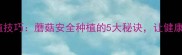无农药种植技巧蘑菇安全种植的5大秘诀让健康食材零距离