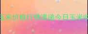 实时更新长治长子玉米价格行情速递今日玉米收购价市场趋势全